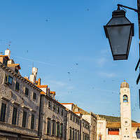 Buy canvas prints of Flock of Starlings over the Stradun by Jason Wells