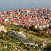 Buy canvas prints of Dubrovnik old town from the hillside by Jason Wells