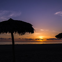 Buy canvas prints of Beach parasols at dawn by Jason Wells