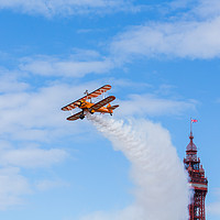 Buy canvas prints of Wingwalker in front of the Blackpool tower by Jason Wells