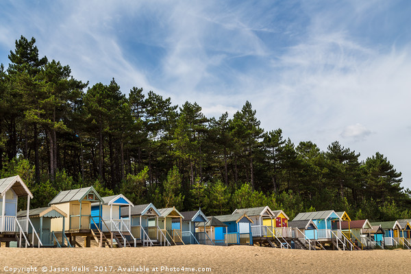 Beach huts by the pine forest Picture Board by Jason Wells