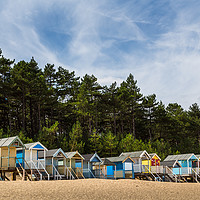 Buy canvas prints of Beach huts by the pine forest by Jason Wells