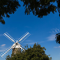 Buy canvas prints of Framing Great Bircham windmill by Jason Wells