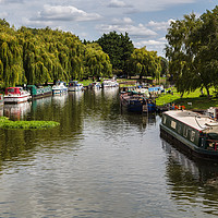 Buy canvas prints of Boats line the river side of the River Great Ouse by Jason Wells