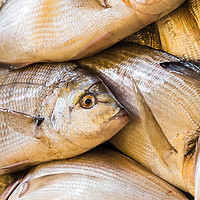 Buy canvas prints of Fresh fish ready for sale by Jason Wells