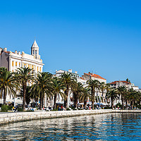 Buy canvas prints of Tree lined Riva in Split by Jason Wells