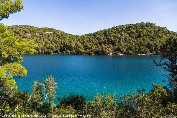 Lush greenery of Mljet National Park Picture Board by Jason Wells