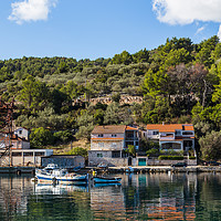 Buy canvas prints of Green trees and shrubs behind Vela Luka harbour by Jason Wells