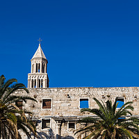 Buy canvas prints of Diocletian's Palace standing above the palm trees  by Jason Wells