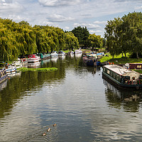 Buy canvas prints of Trio of ducks on the River Great Ouse by Jason Wells