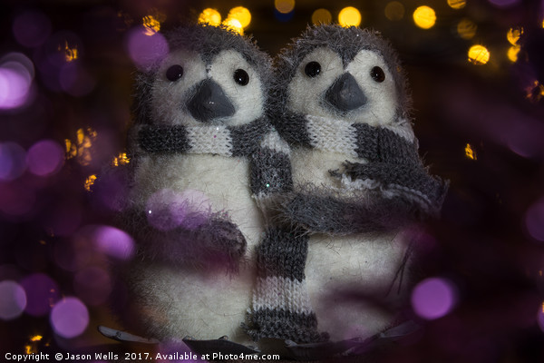 Penguins surrounded in bokeh Picture Board by Jason Wells