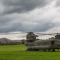 Buy canvas prints of Chinook helicopters in a field by Jason Wells