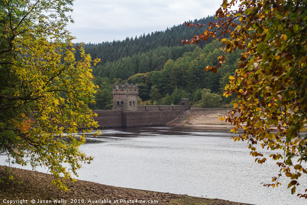 Derwent Dam between the trees Picture Board by Jason Wells