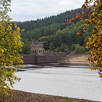Buy canvas prints of Derwent Dam between the trees by Jason Wells