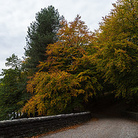 Buy canvas prints of Derwent Reservoir at autumn by Jason Wells