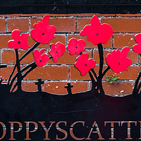 Buy canvas prints of Poppyscatter bench by Jason Wells