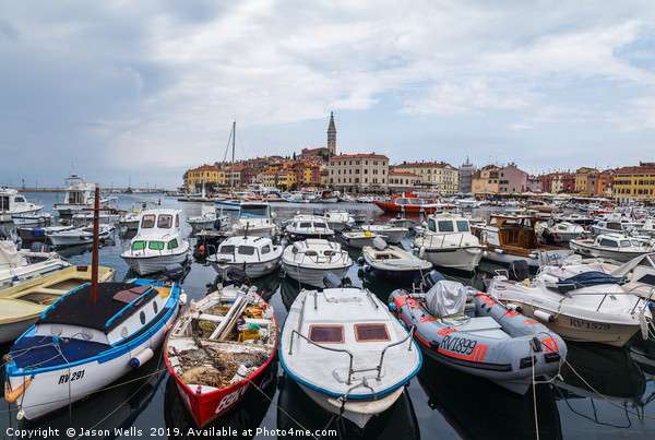 Rovinj harbour Picture Board by Jason Wells