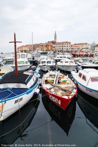 Boats bobbing in Rovinj harbour Picture Board by Jason Wells