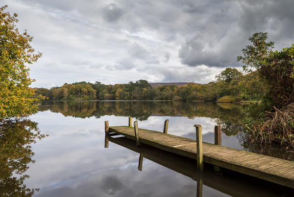 Wyresdale Lake in Lancashire Picture Board by Jason Wells
