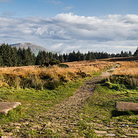 Buy canvas prints of Beacon Fell Country Park by Jason Wells