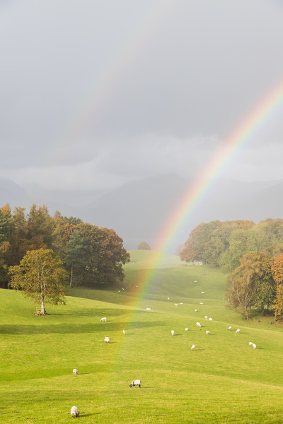 Double rainbow over the Lake District Picture Board by Jason Wells