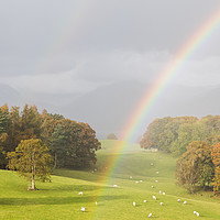 Buy canvas prints of Double rainbow over the Lake District by Jason Wells