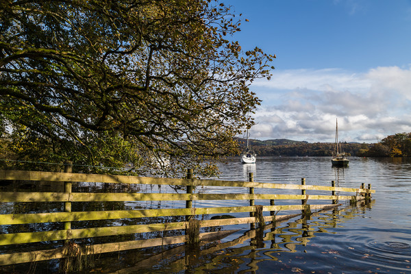 Sloping into Lake Windermere Picture Board by Jason Wells