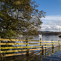 Buy canvas prints of Sloping into Lake Windermere by Jason Wells