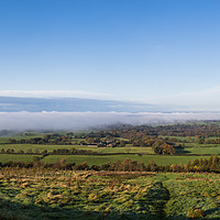 Buy canvas prints of Mist around Beacon Fell Country Park by Jason Wells