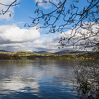 Buy canvas prints of Trees overhanging Lake Windermere by Jason Wells