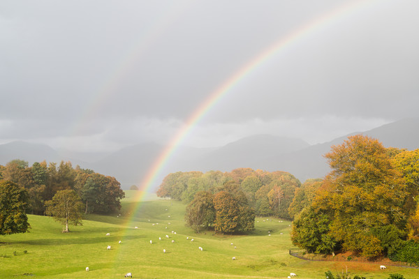 Double rainbow over the Lake District Picture Board by Jason Wells