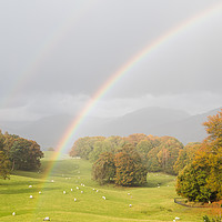 Buy canvas prints of Double rainbow over the Lake District by Jason Wells