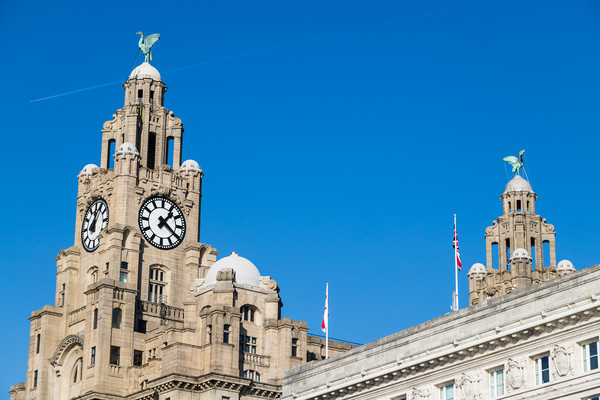 Plane overflies the Liverbirds Picture Board by Jason Wells