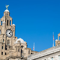 Buy canvas prints of Plane overflies the Liverbirds by Jason Wells