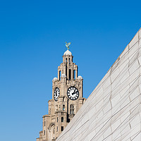Buy canvas prints of Square crop of the Liverbird by Jason Wells