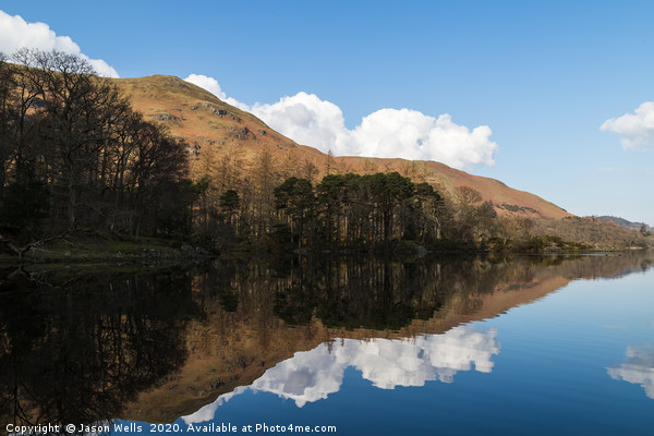 Trees on the shore of Derwent Water Picture Board by Jason Wells
