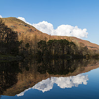 Buy canvas prints of Trees on the shore of Derwent Water by Jason Wells