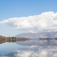 Buy canvas prints of Canadian Geese on Derwent Water by Jason Wells