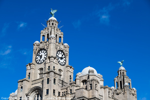 Royal Liver Building under a blue sky Picture Board by Jason Wells