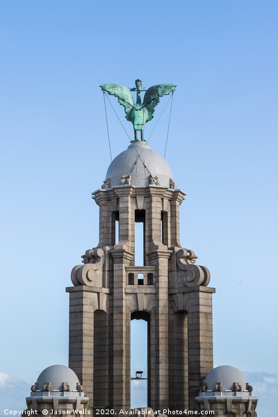 Liver Bird facing towards the land Picture Board by Jason Wells