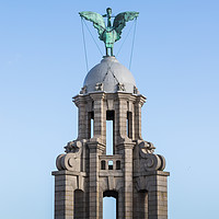 Buy canvas prints of Liver Bird facing towards the land by Jason Wells