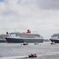 Buy canvas prints of Three Queens close up by Jason Wells