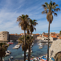 Buy canvas prints of Panorama of Dubrovnik harour by Jason Wells