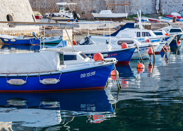 Boats lined up in Dubrovnik harbour Picture Board by Jason Wells
