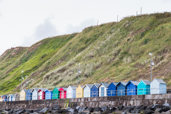Row of beach huts Picture Board by Jason Wells