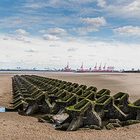 Buy canvas prints of Honeycomb sea defence in Wallasey beach by Jason Wells