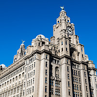 Buy canvas prints of Royal Liver Building under a blue sky by Jason Wells