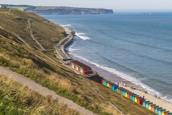 Beach huts on the Whitby seafront Picture Board by Jason Wells