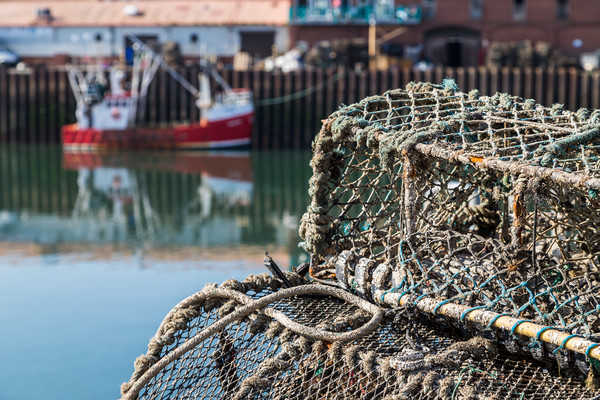 Crab pots in the quayside in Scarborough Picture Board by Jason Wells