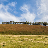 Buy canvas prints of Tree lined hill on the North Yorkshire Moors by Jason Wells